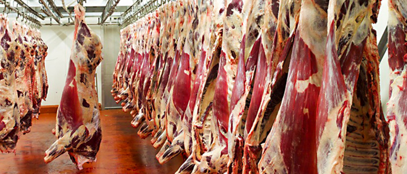 Osuszanie w przemyśle mięsnym-Trotec