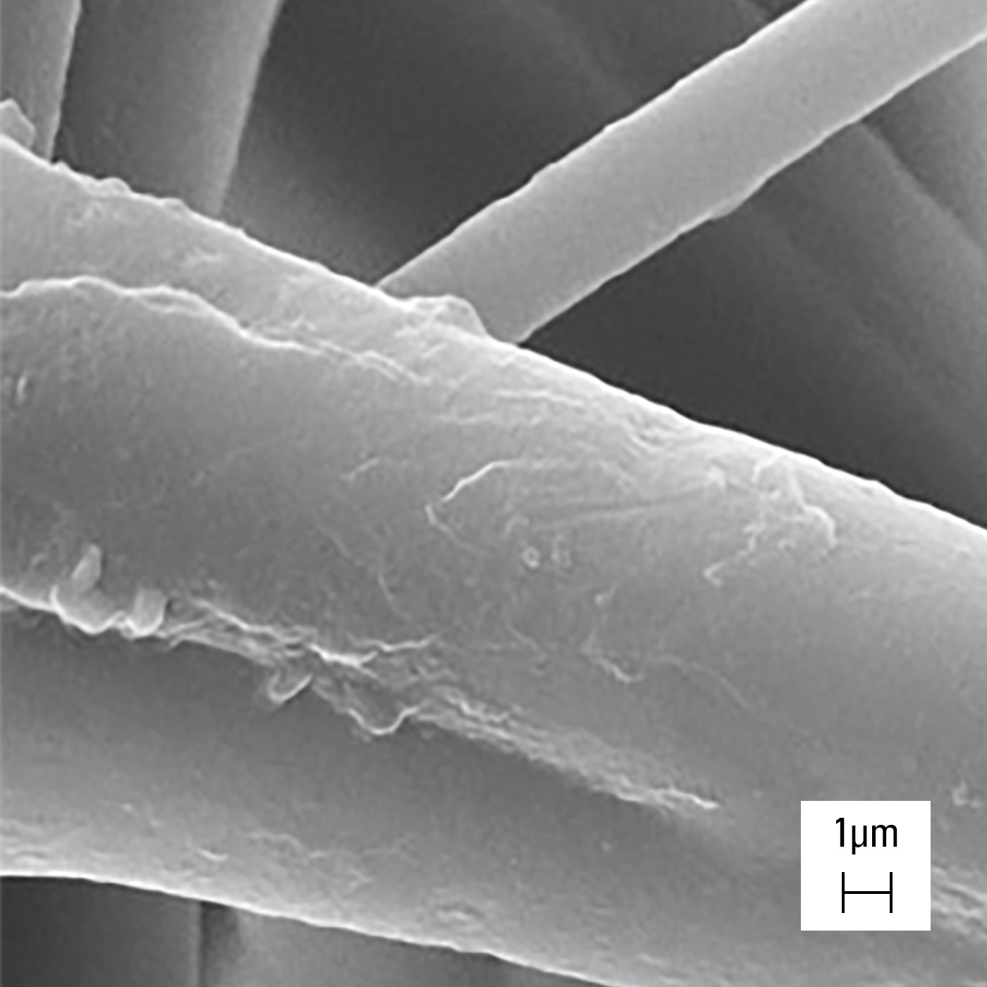 Struktura włóknista filtra H14 obserwowana pod skaningowym mikroskopem elektronowym