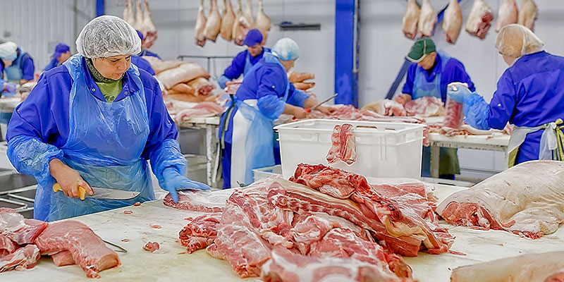Wolne od wirusów powietrze w przemyśle przetwórstwa mięsa.-Trotec