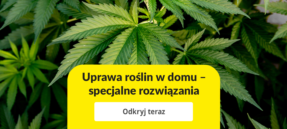 Spezielle Lösungen für Indoor Growing - Unsere Produkte bieten optimale Bedingungen für den Cannabisanbau.